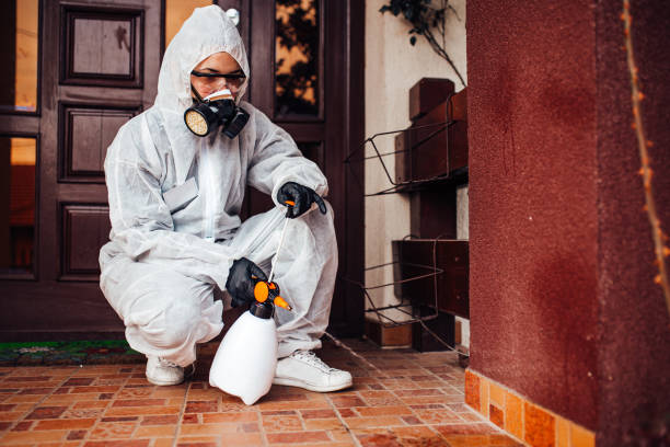 Attic and Crawl Space Rodent Treatment in Othello