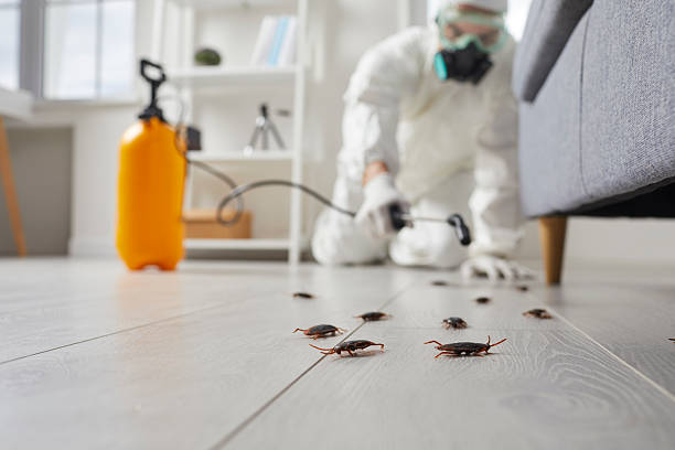 Commercial Rodent Management in Othello